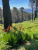 IMG_1905.jpeg