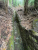 IMG_8449.jpeg