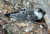IMG_8473 (1).jpeg