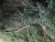 k-20260722_115635.jpg