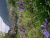 k-20260717_124537.jpg