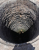 k-20260719_132425.jpg