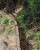 k-20260725_131959.jpg